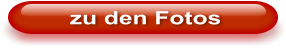 zu den Fotos
